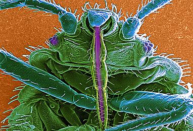 《审判之逝》今日正式发售 官方公布发售宣传片 